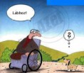 /album/fenykepgaleria/vicces-k-pek-l-bhoz-jpg/